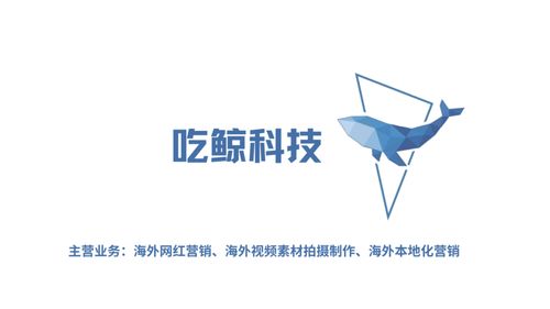 吃鲸科技观察bestway充气泳池如何利用红人营销抓住美国消费者的心